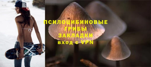 альфа пвп Болотное