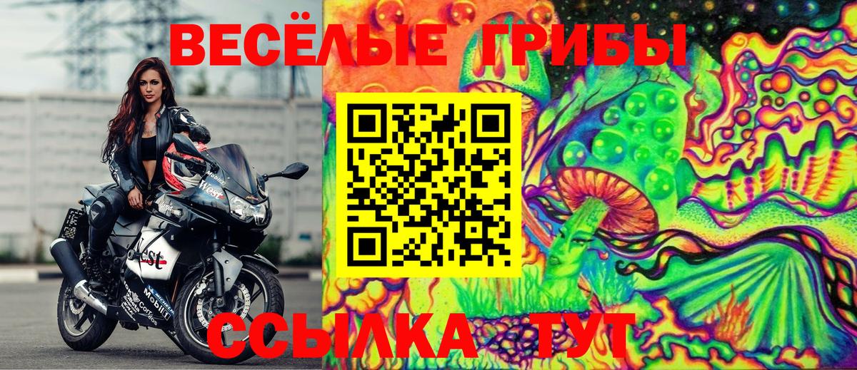 Псилоцибиновые грибы MAGIC MUSHROOMS Кандалакша